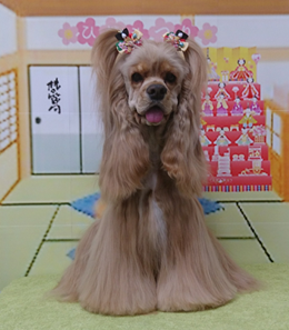 　ジェニーちゃん