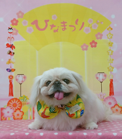 　めるちゃん