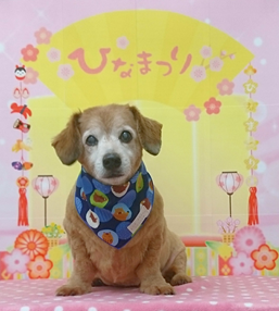 　メロくん
