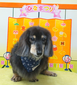 　トリストラムくん