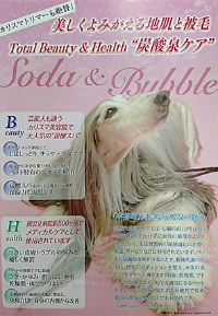 DOG SALON PETALの一押し！　炭酸泉♪