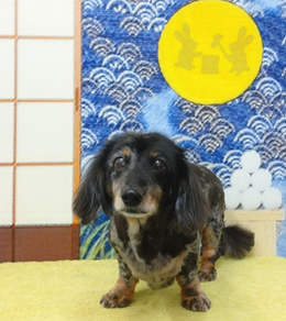　元気くん