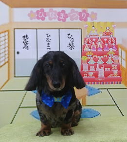 　元気くん