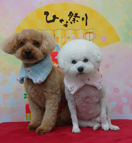 おーじろうくん＆こぶたちゃん