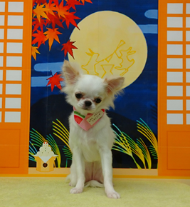 　むぅちゃん