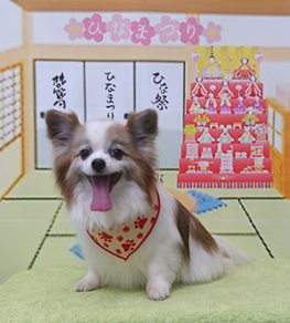 　パリスちゃん