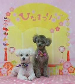 れおくん＆らいやちゃん