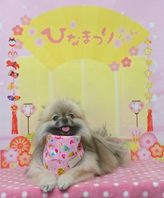 　つくねちゃん