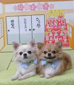 クロエくん＆チャーリーくん