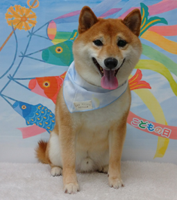 　soraくん