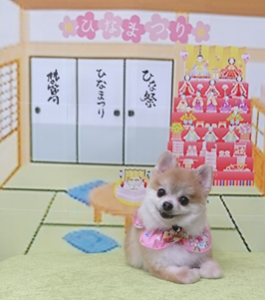 　モコちゃん