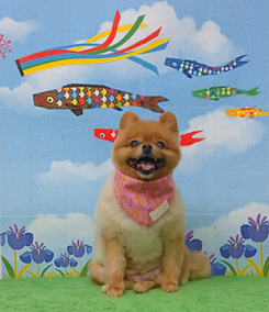 　アンちゃん