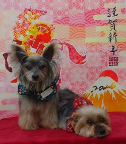 潤くん＆慶ちゃん