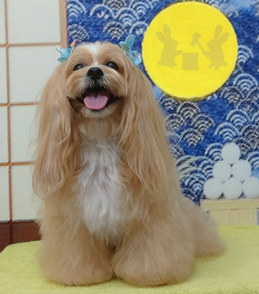 　ムーニーくん