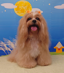 　ムーニーくん