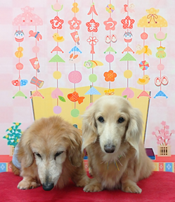 ナイトくん＆ラムちゃん