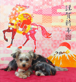 璃ちゃん＆澄ちゃん