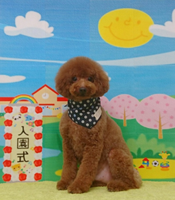 　れおくん