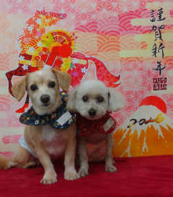 ケビンくん＆ちくわちゃん