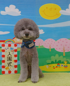 　こはくくん