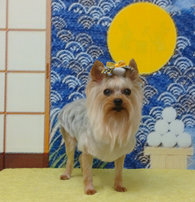 　鈴ちゃん