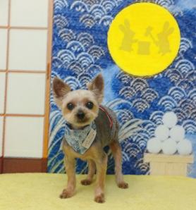 　リオンくん