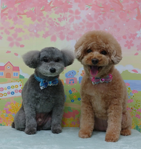レオくん＆メグちゃん