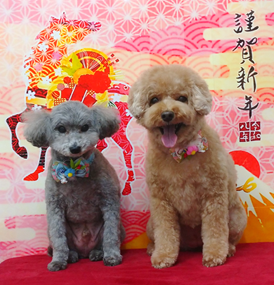 レオくん＆メグちゃん