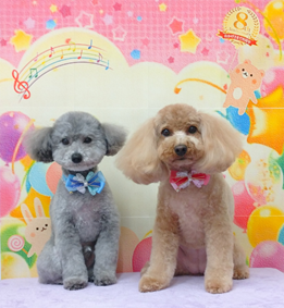 レオくん＆メグちゃん