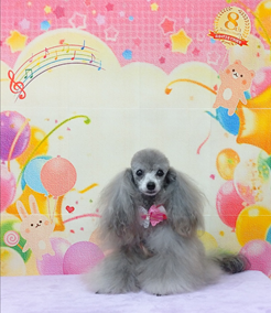 　Qooちゃん