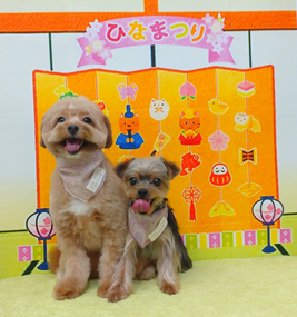 コロッケちゃん＆うにちゃん