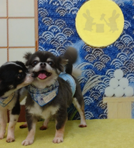 レオンくん＆リクくん
