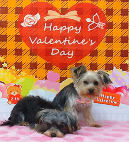 澄ちゃん＆璃ちゃん