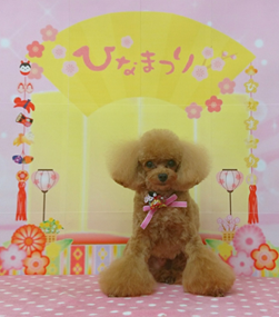　プリンスくん