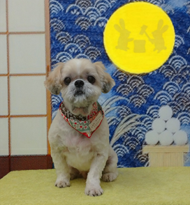 　しずくちゃん