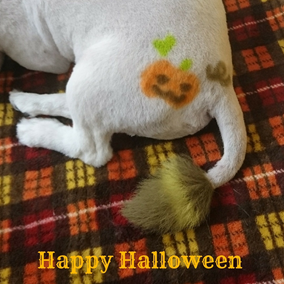 ハロウィンはこれから…♪