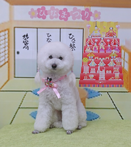 　ベルちゃん