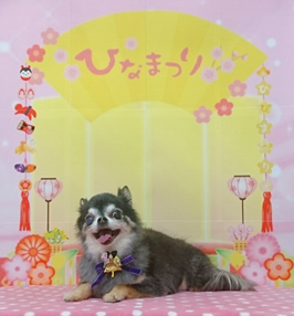 　梅太郎くん