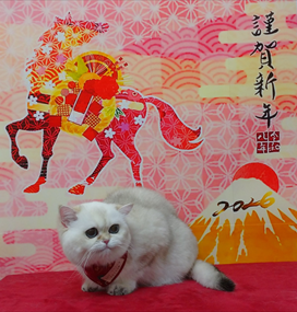 　メイメイちゃん