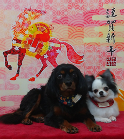 ロミオくん＆ティナちゃん