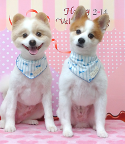 ララくん&リリくん