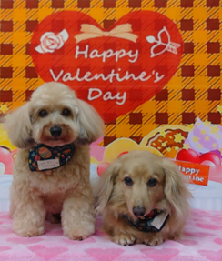 チョコくん＆ミルクくん