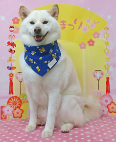 　ぎんくん