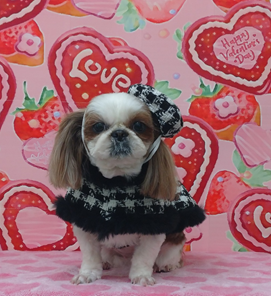 　リリーちゃん
