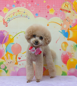 　チェリーちゃん