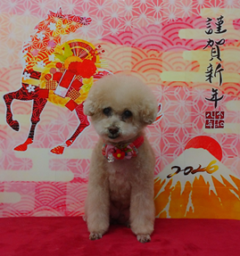 　チェリーちゃん