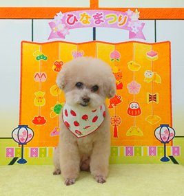 　チェリーちゃん